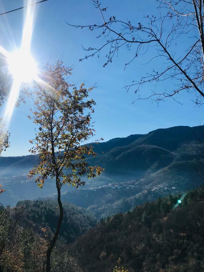 "Casa Do Avo Patricio" Mountain Experience Villa Parada  Bagian luar foto
