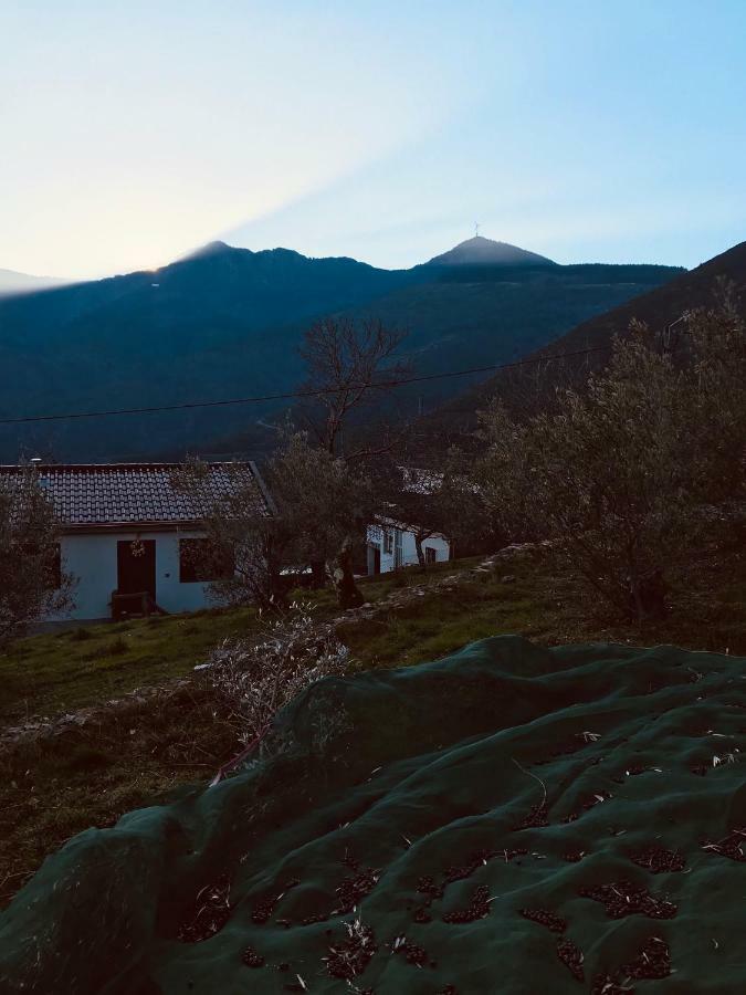 "Casa Do Avo Patricio" Mountain Experience Villa Parada  Bagian luar foto